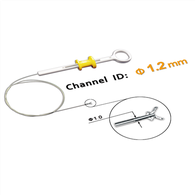 Verdauung Trakt biopsy Kraaft