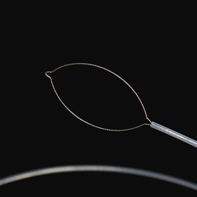 Kiefer Typ auslännesch Kierperkraaft