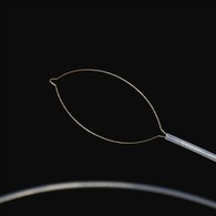 Netto Typ auslännesch Kierperkraaft